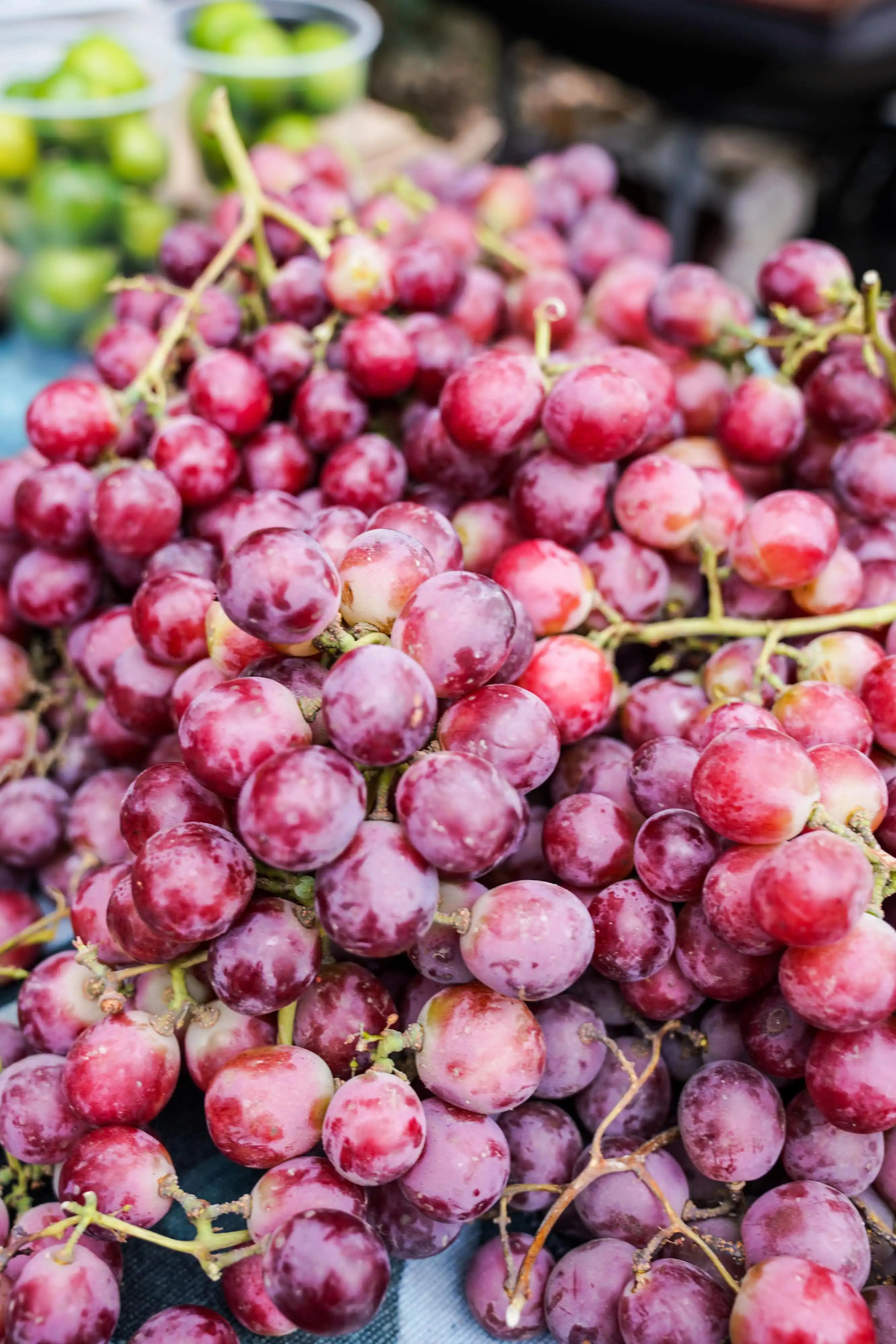 seeded grape seeds for planting Extra Large Red Seeded Grapes – Prosperity Market