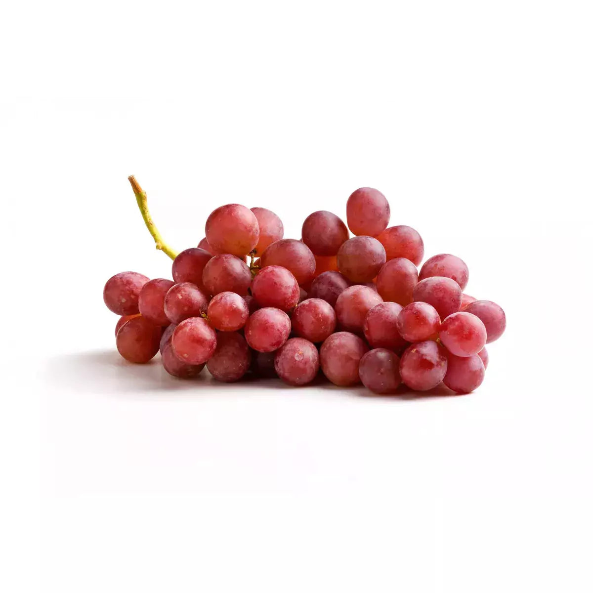 seeded grape plants for sale Extra Large Red Seeded Grapes – Prosperity Market