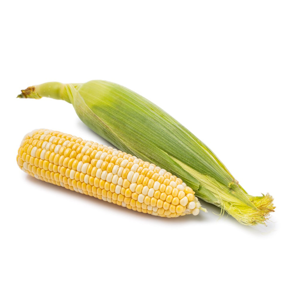 Bi-Colored Sweet Corn