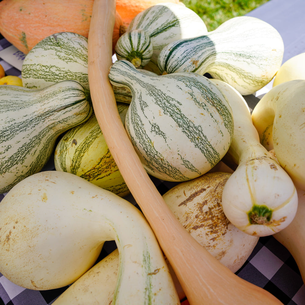 
                  
                    Organic Seasonal Harvest Box
                  
                
