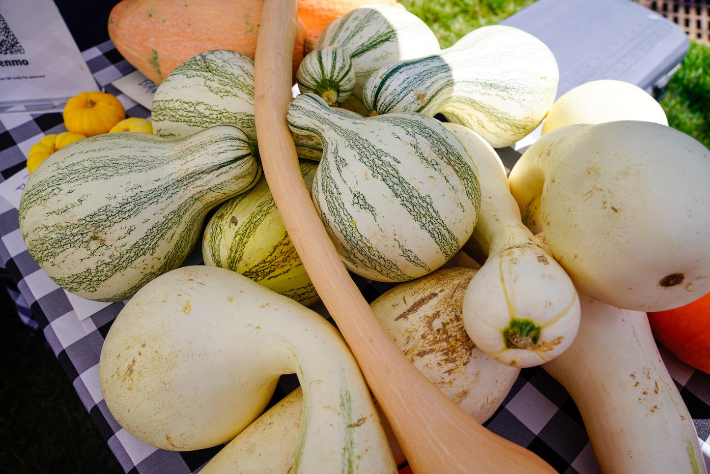 
                  
                    Organic Seasonal Harvest Box
                  
                