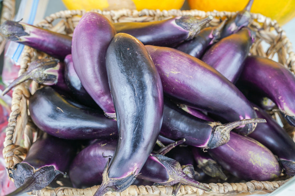 Japanese Long Eggplant