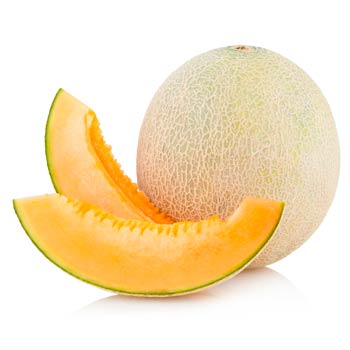 Cantaloupe