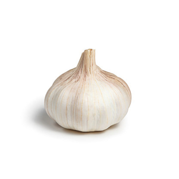 Certified Organic Garlic