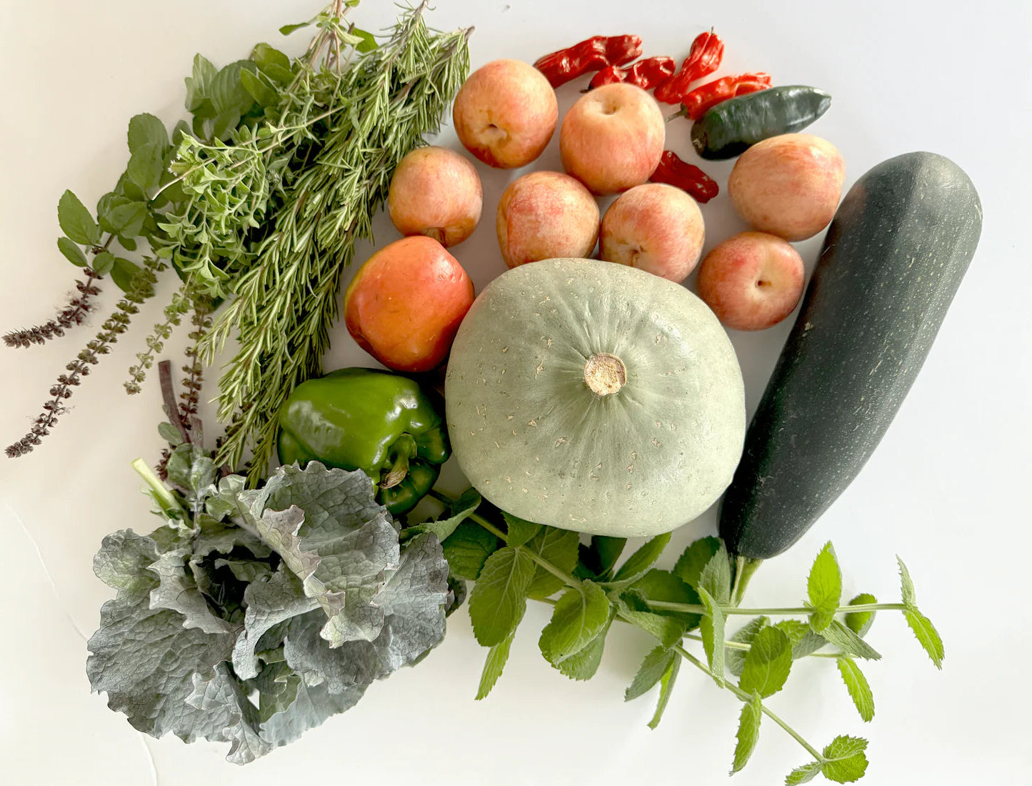 Assorted fruits and vegetables including a zucchini, apples, a pumpkin, and herbs on a white background