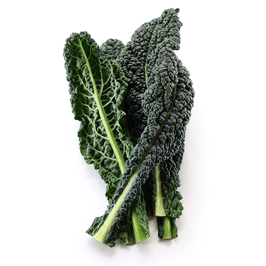 Dinosaur Kale
