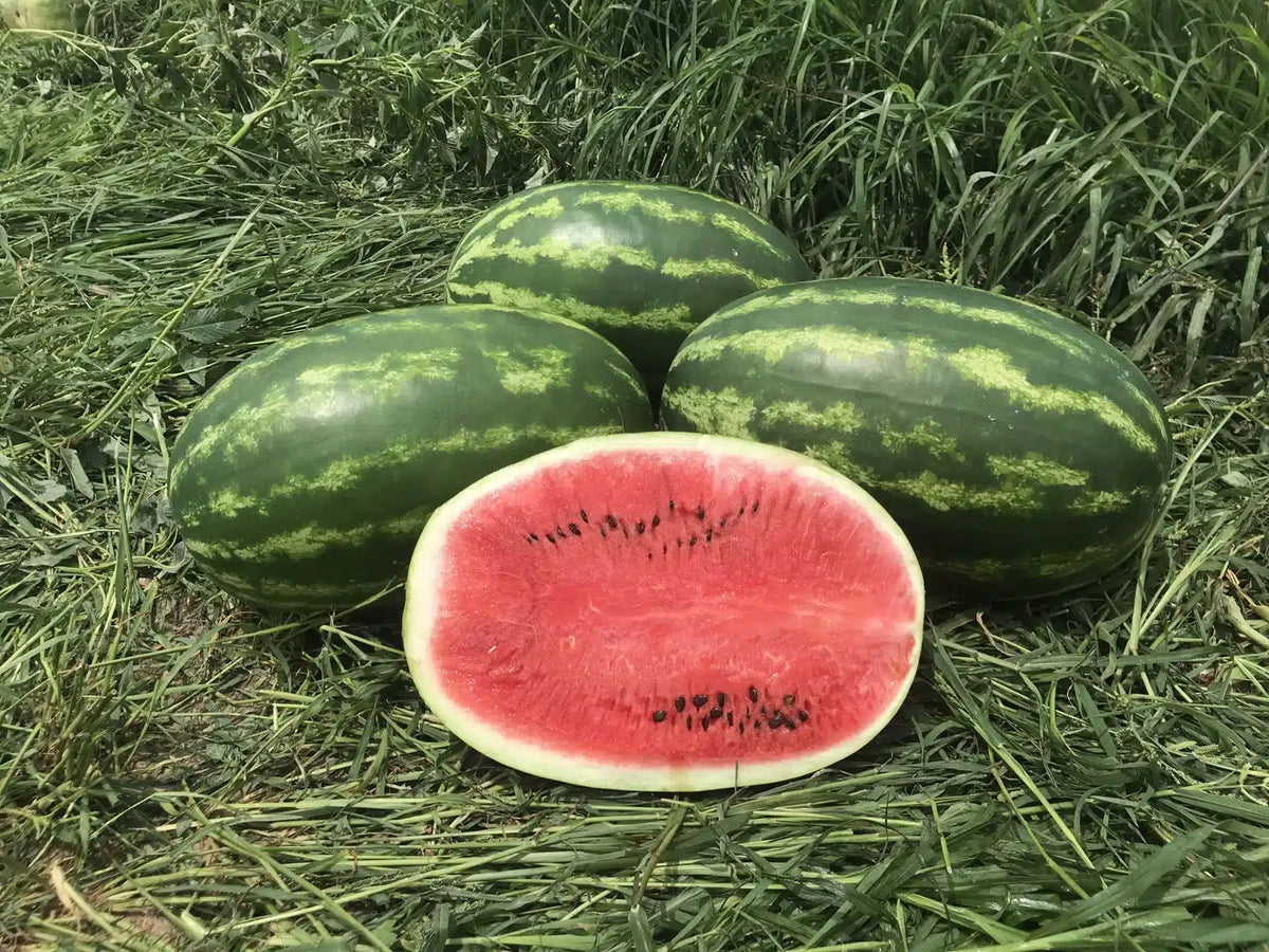 Merman Produce Sherman Produce – Prosperity Market